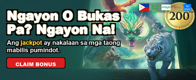 Experience Premium Casino Gaming